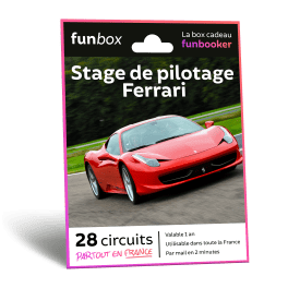 Pilotage Ferrari