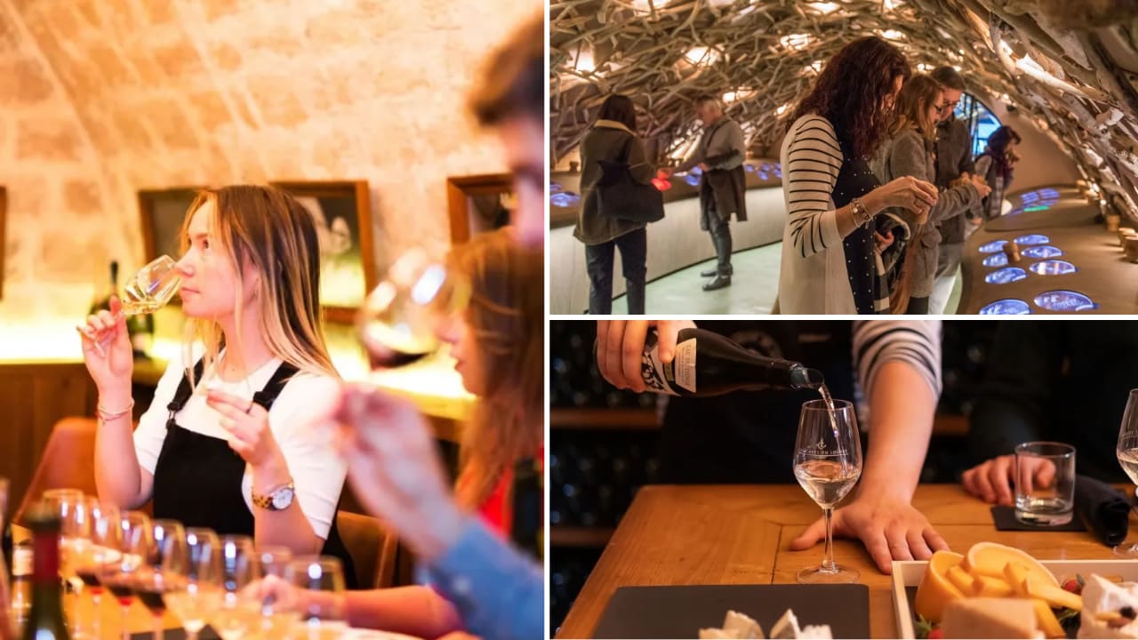visite-guidee-degustation-vin