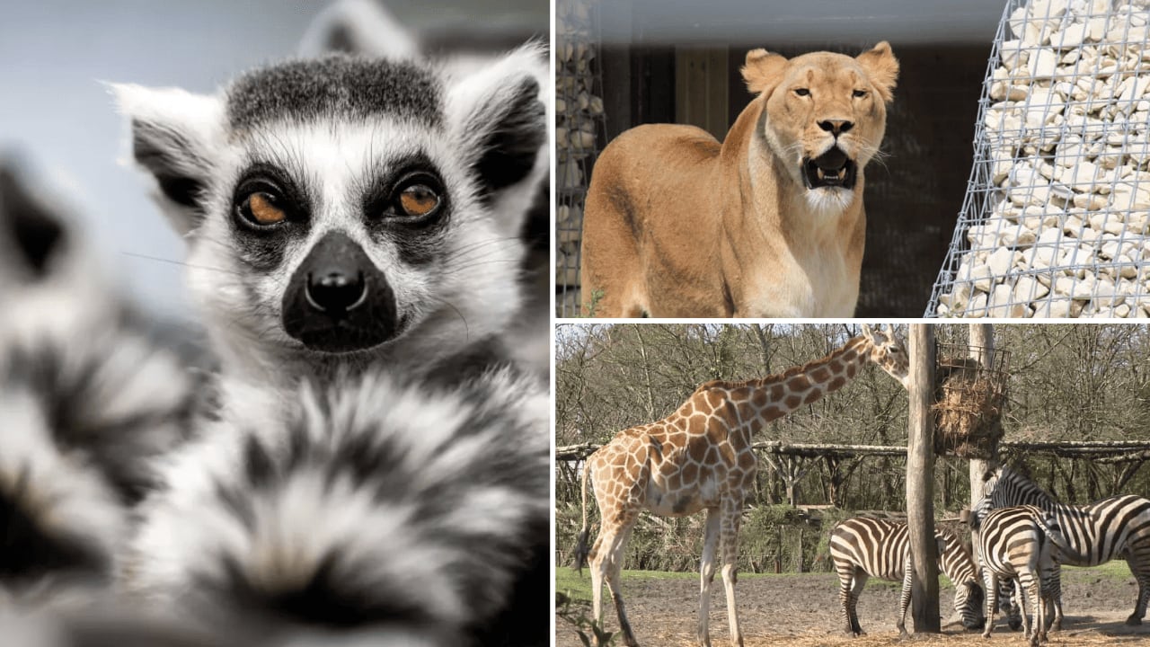 Zoo de Bordeaux