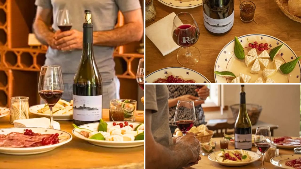 degustation-vins-fromages
