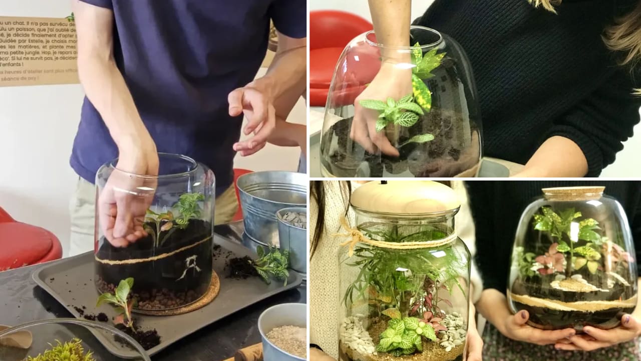 atelier-terrarium