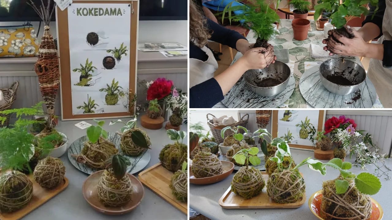 Atelier kokedama