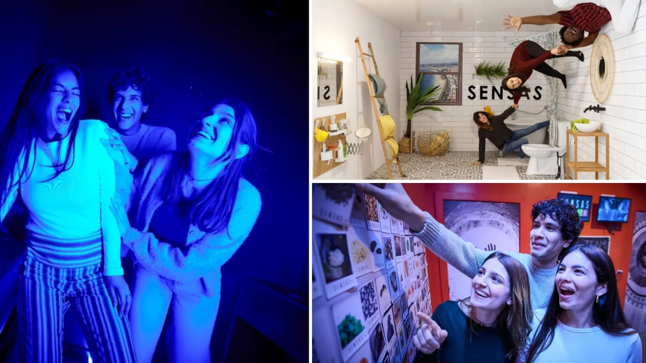 sensas