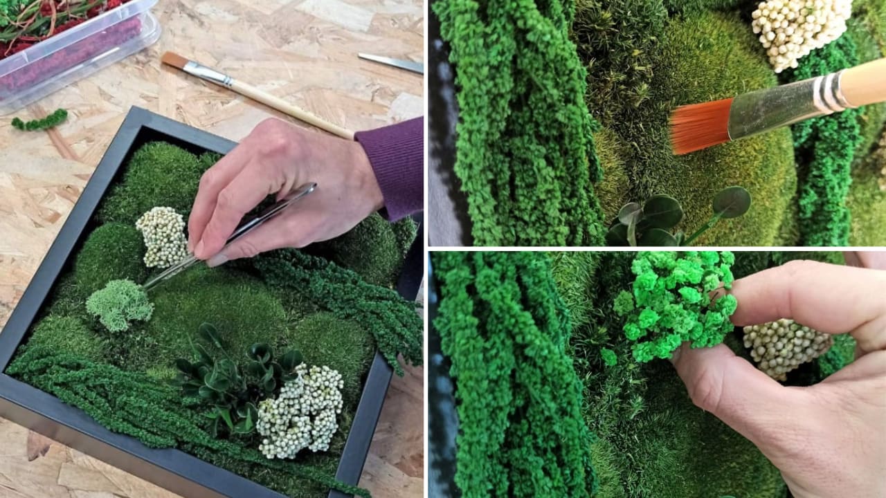 atelier-creation-tableau-vegetal