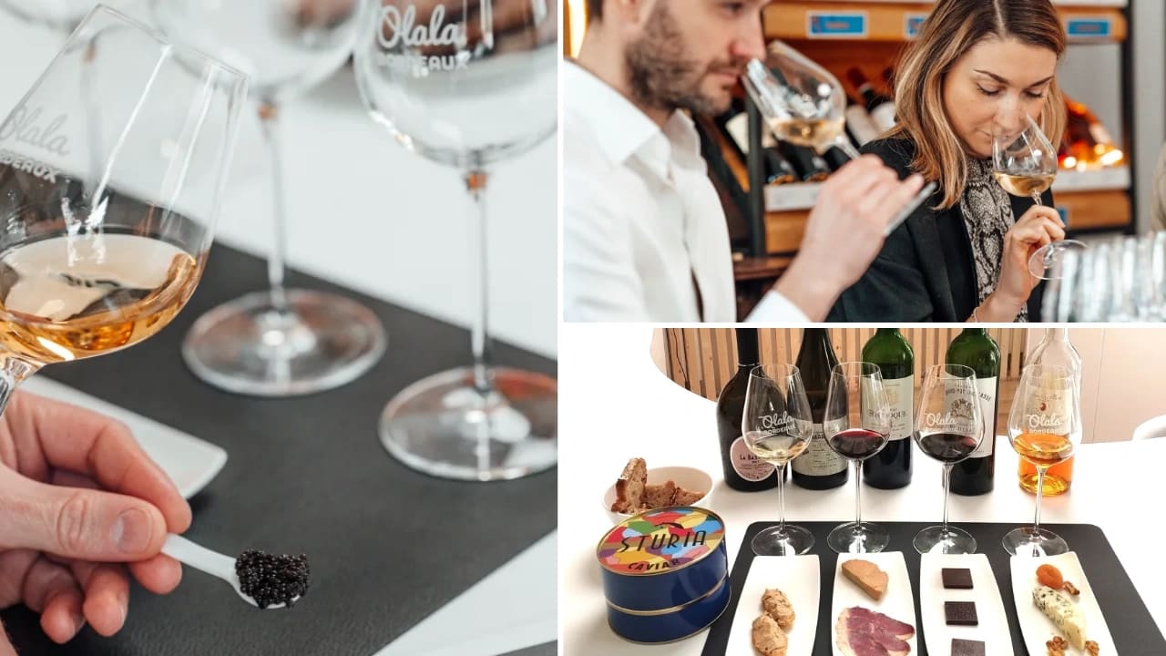 degustation vins fromages