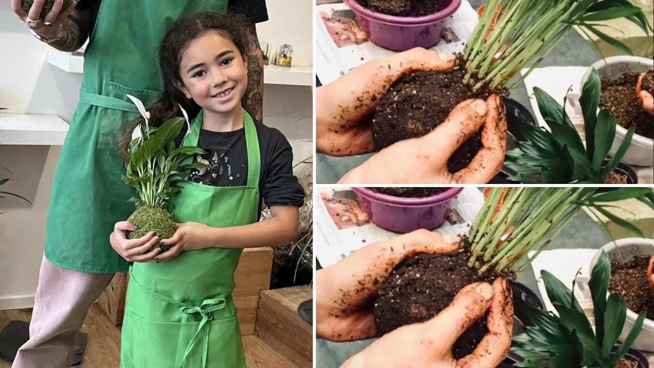 atelier kokedama parent enfant