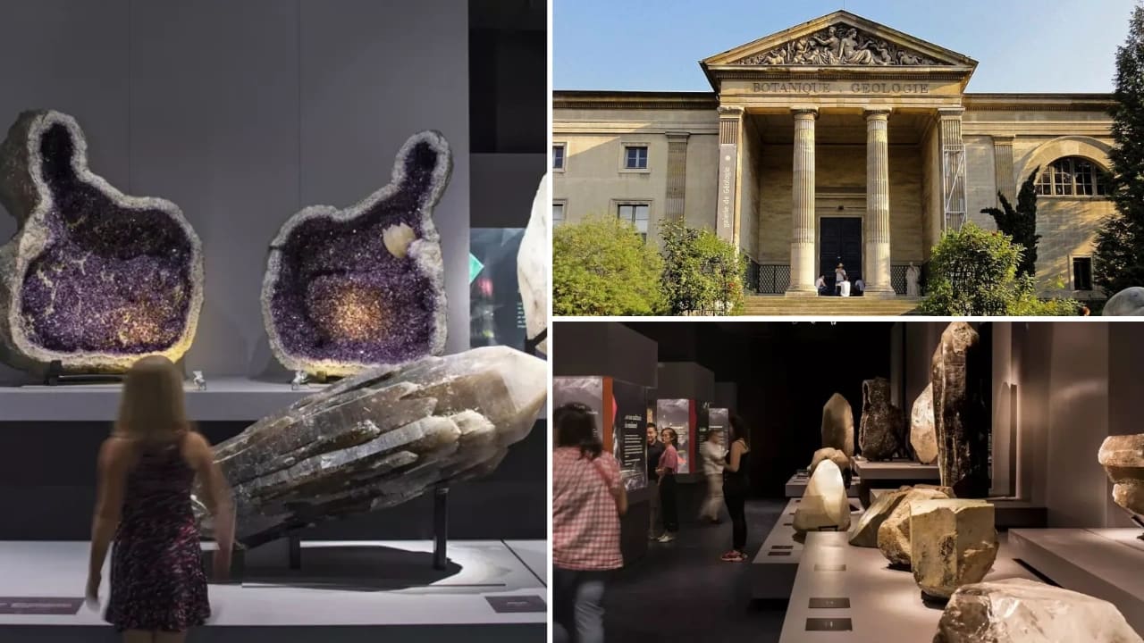 galerie mineralogie paris