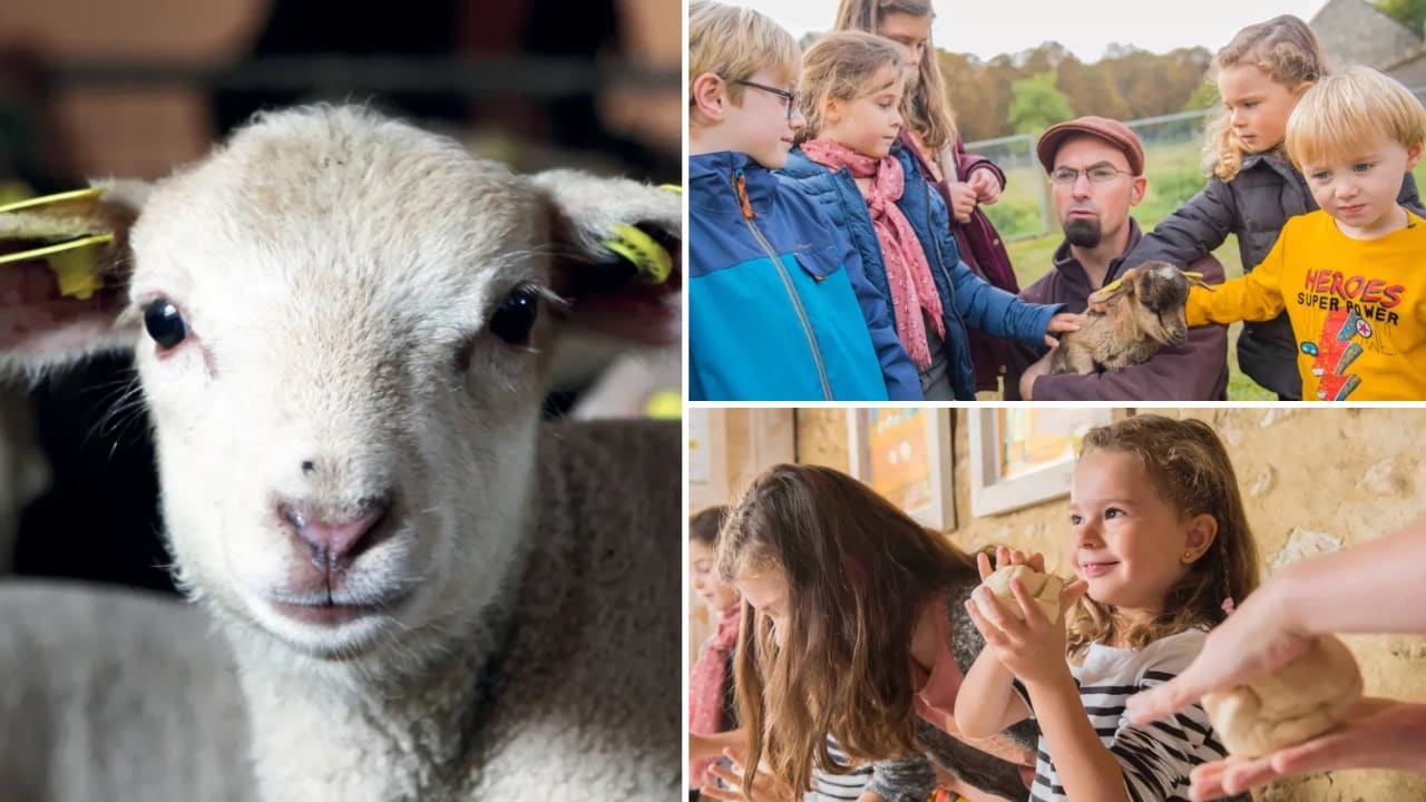 visite-ferme