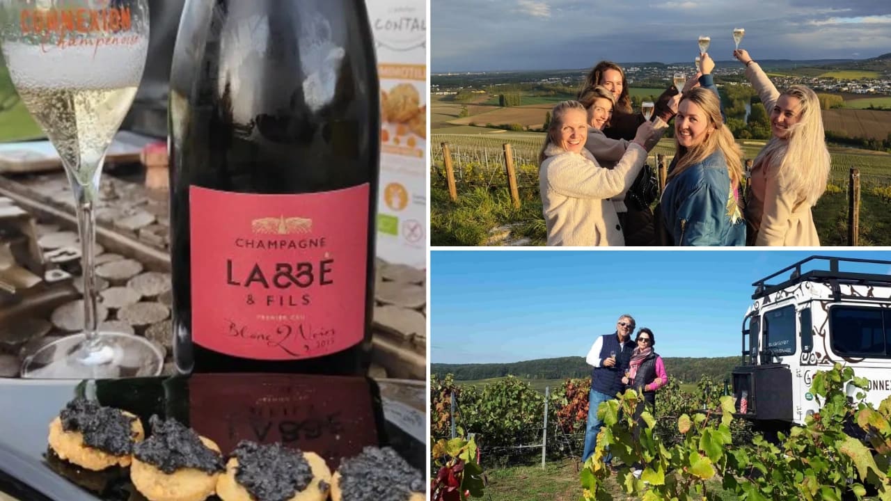 degustation vignoble