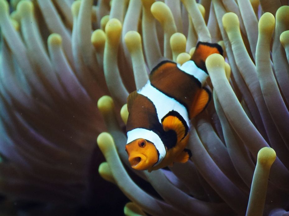 AQUARIUM DE LYON