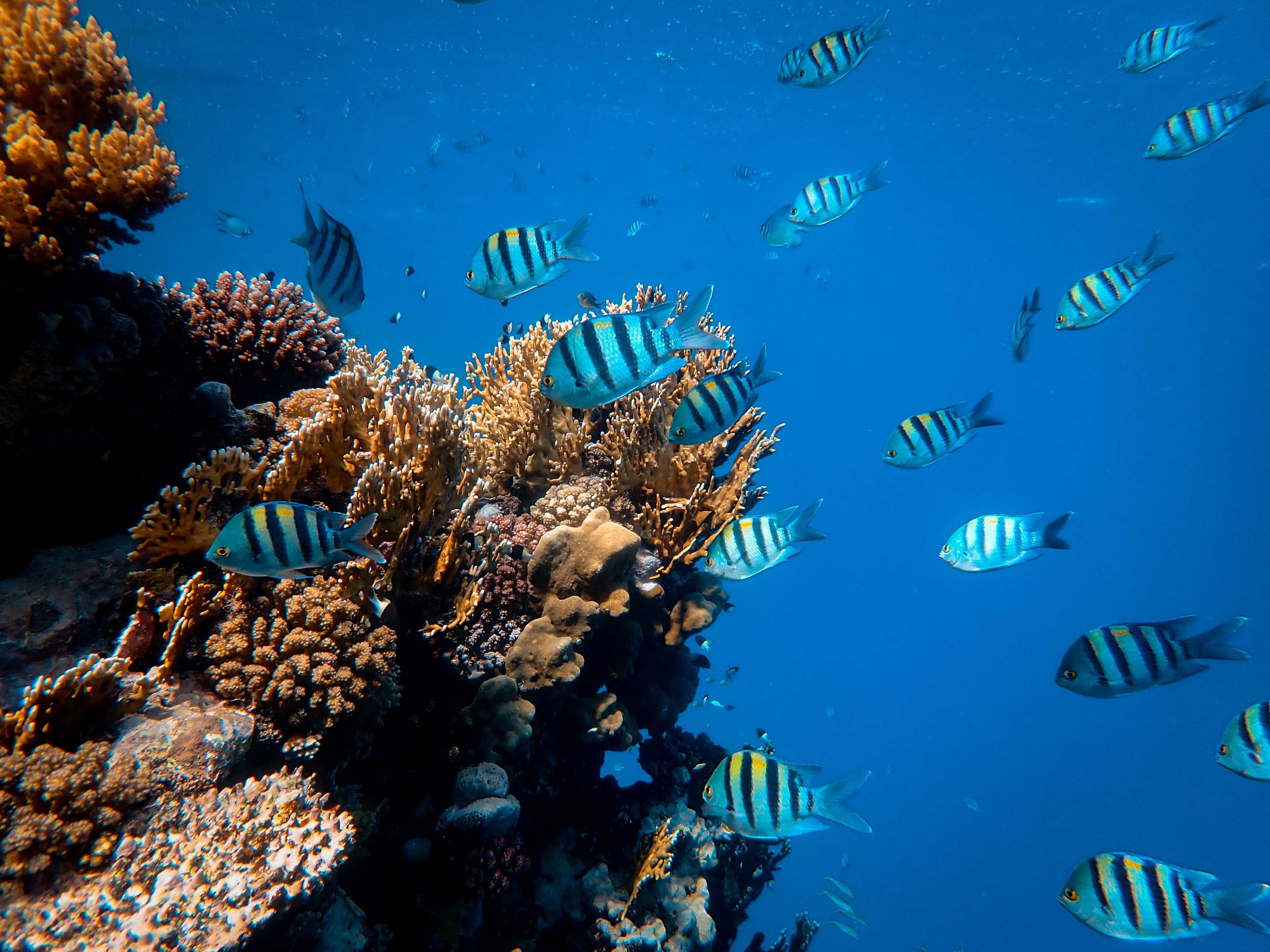 AQUARIUM D'AMNÉVILLE