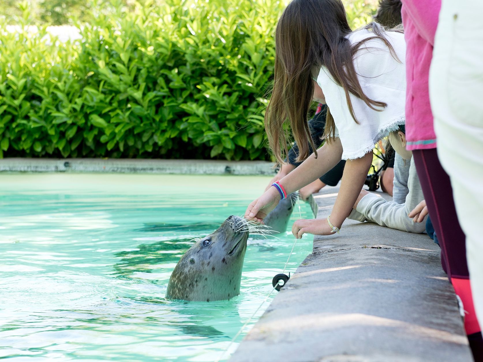 TOUROPARC.ZOO