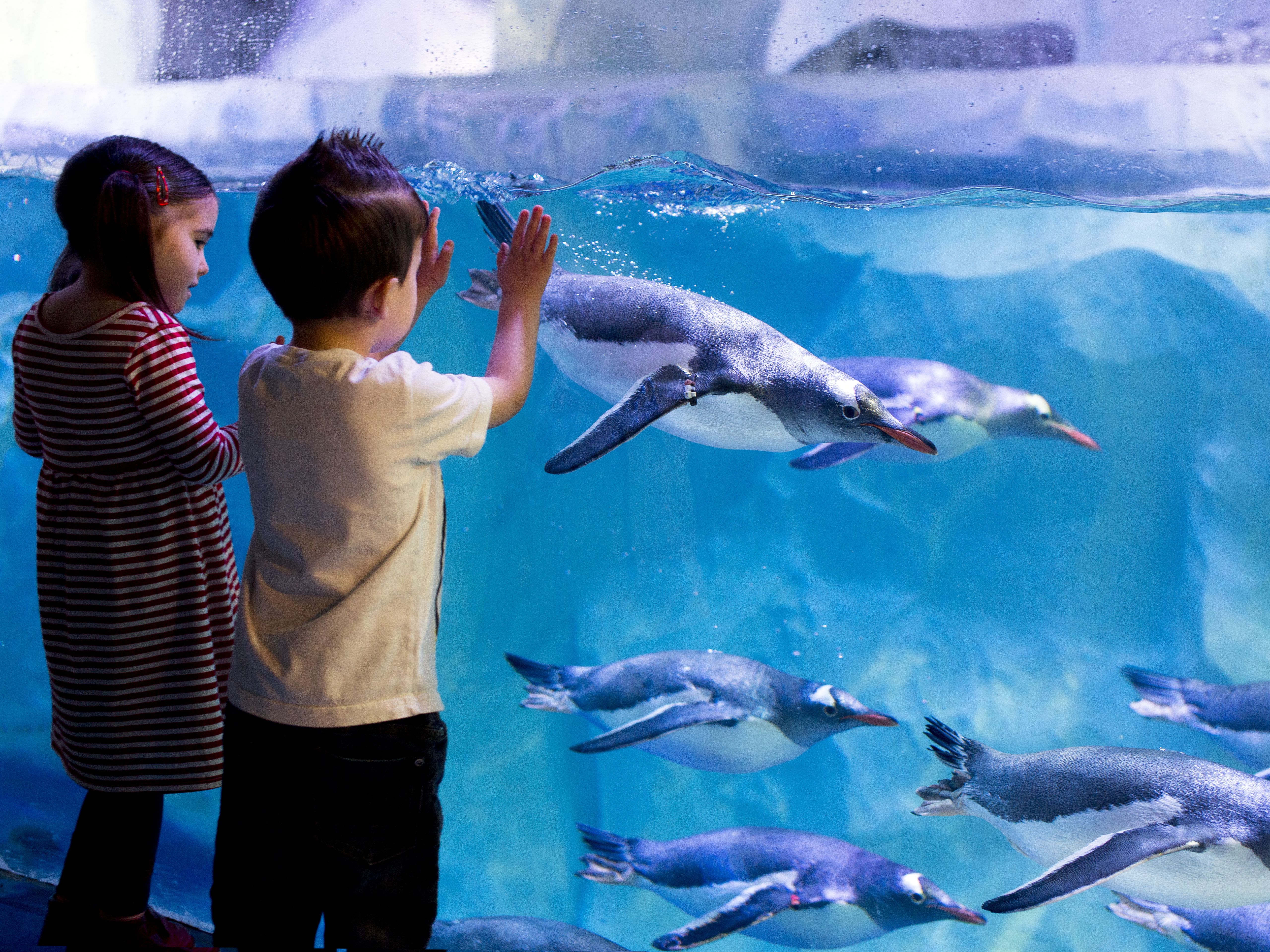 AQUARIUM SEA LIFE PARIS VAL D'EUROPE