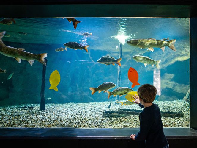 AQUARIUM DE TOURAINE