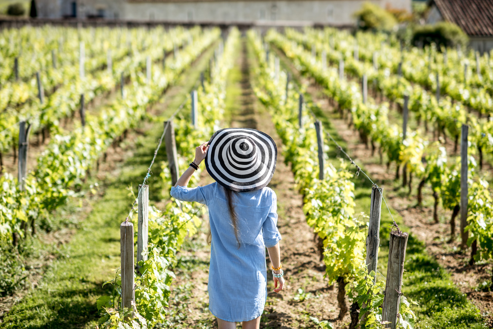 Dégustation de vin