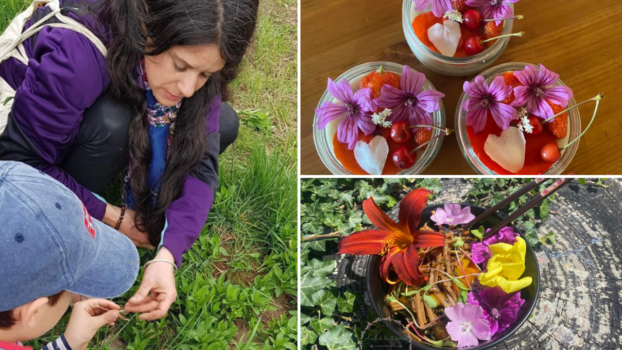 balade cours cuisine enfant parent