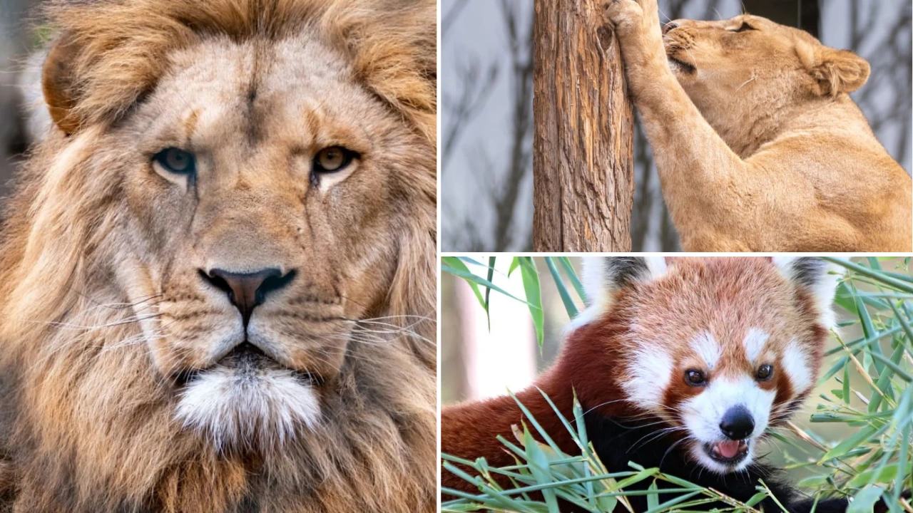 Espace Zoologique