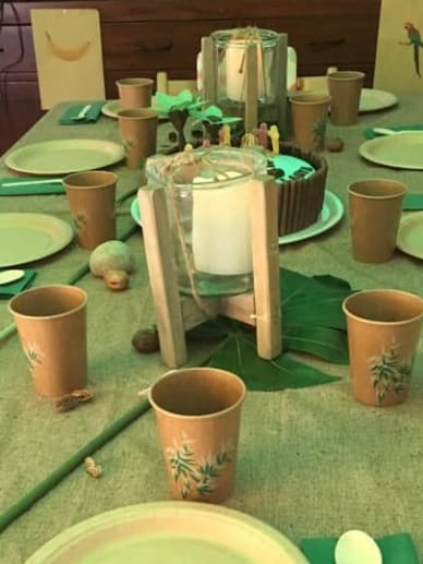 déco anniversaire koh lanta