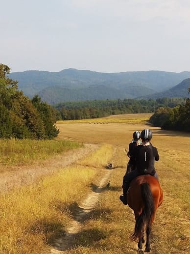 massage pas cher lille