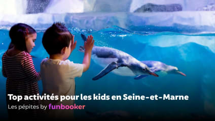 21 idées d'activités géniales pour les enfants en Seine-et-Marne