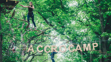 10 raisons d'aller faire de l'accrobranche chez Accrocamp