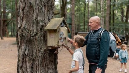11 activités à faire le dimanche en Bretagne
