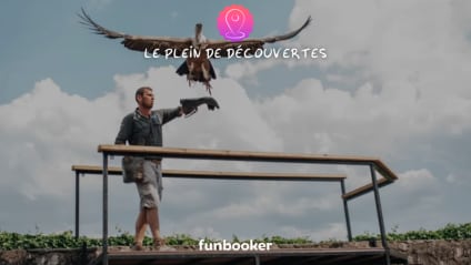 Nos Top des activités à faire en Alsace en été ☀️