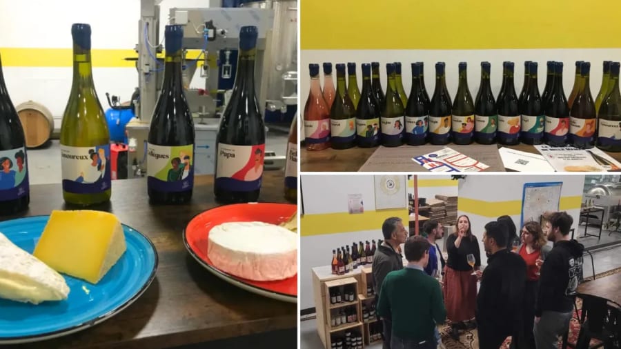 degustation-de-vin