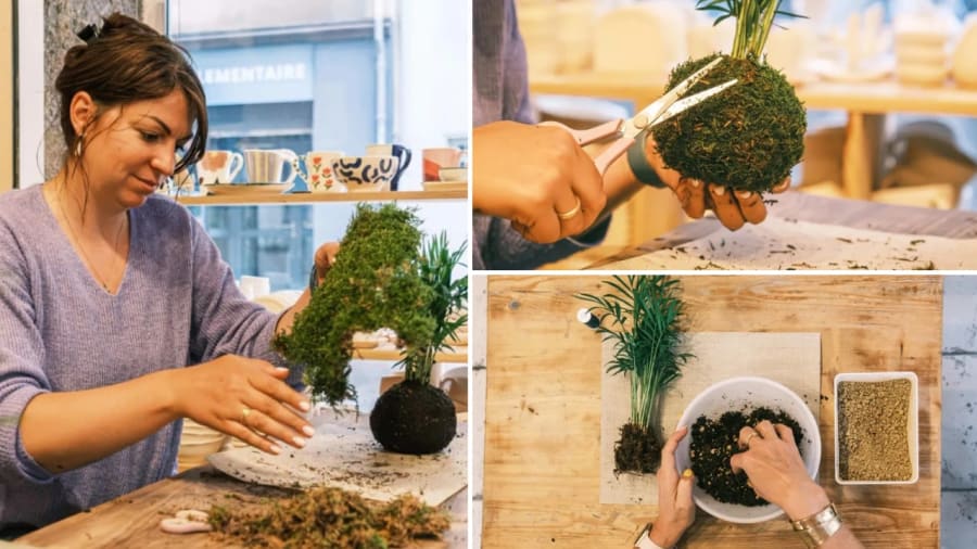 atelier kokedama