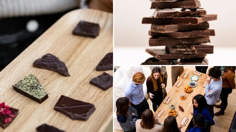 degustation-chocolat