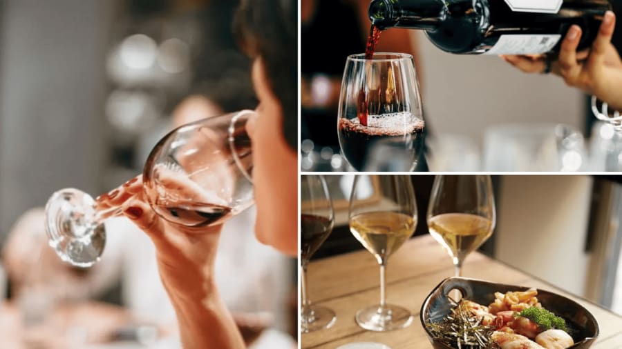 dégustation de vin