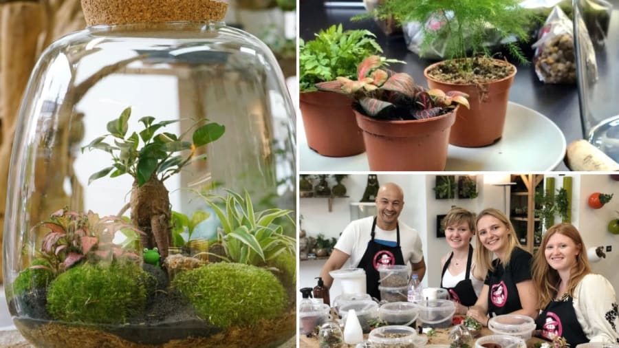 atelier-terrarium
