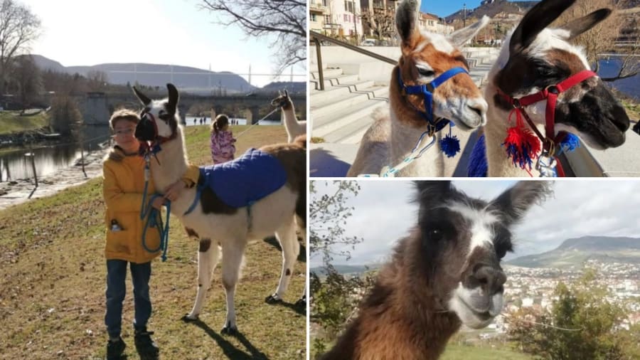 balade lama