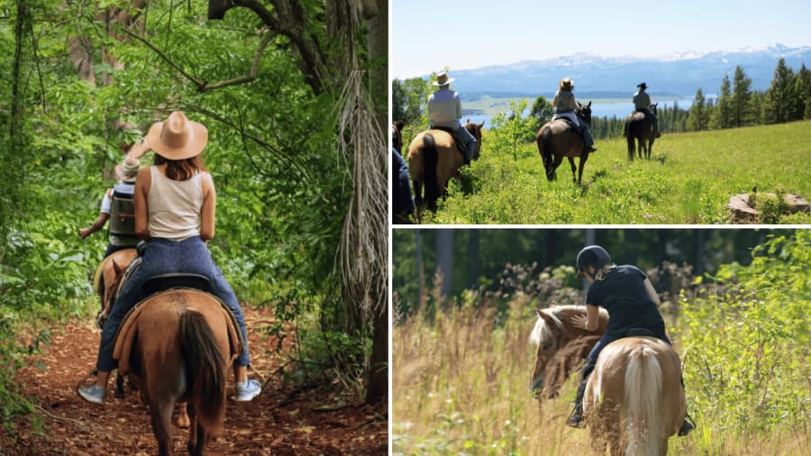 balade à cheval