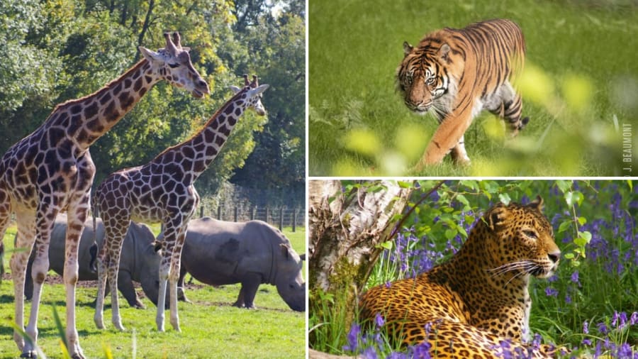Parc animalier caen