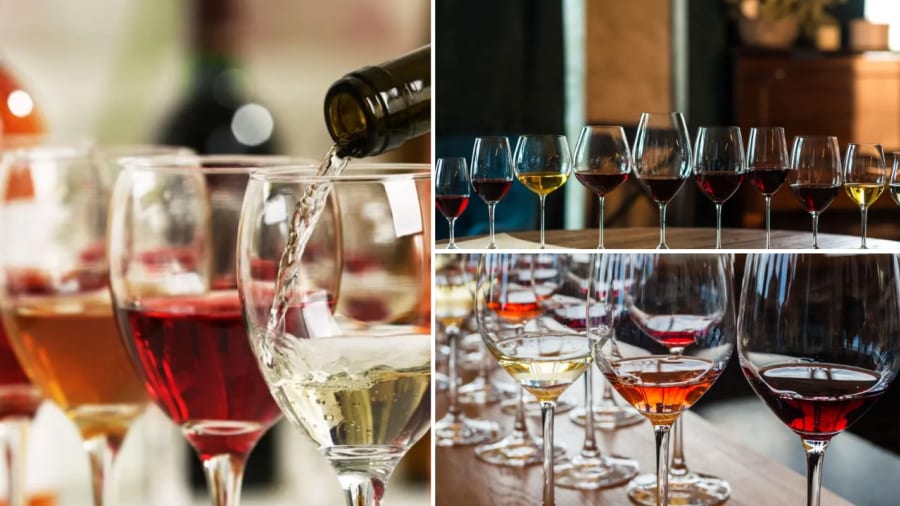 degustation-de-vin