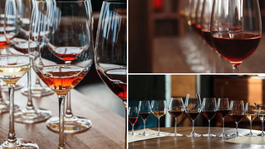 initiation-degustation