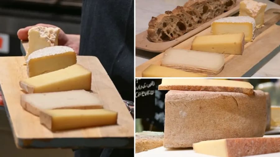degustation-fromage
