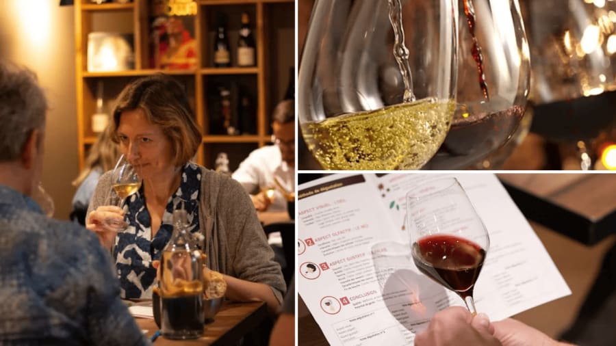 degustation vin
