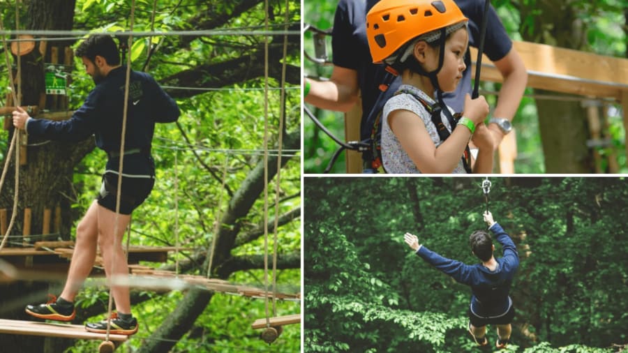 activite enfant accrobranche