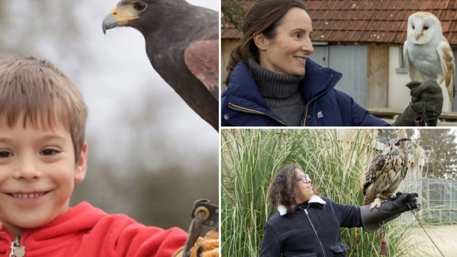 rencontre-oiseaux-stars