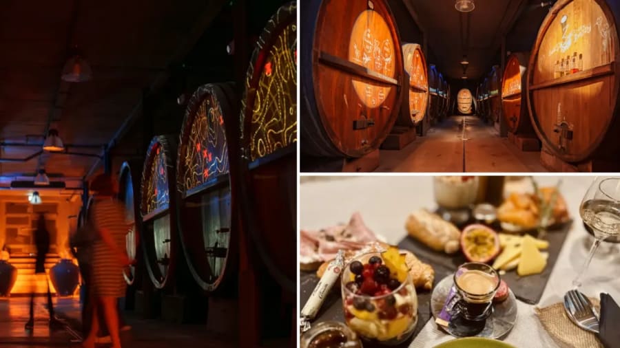 visite-cave-degustation-brunch