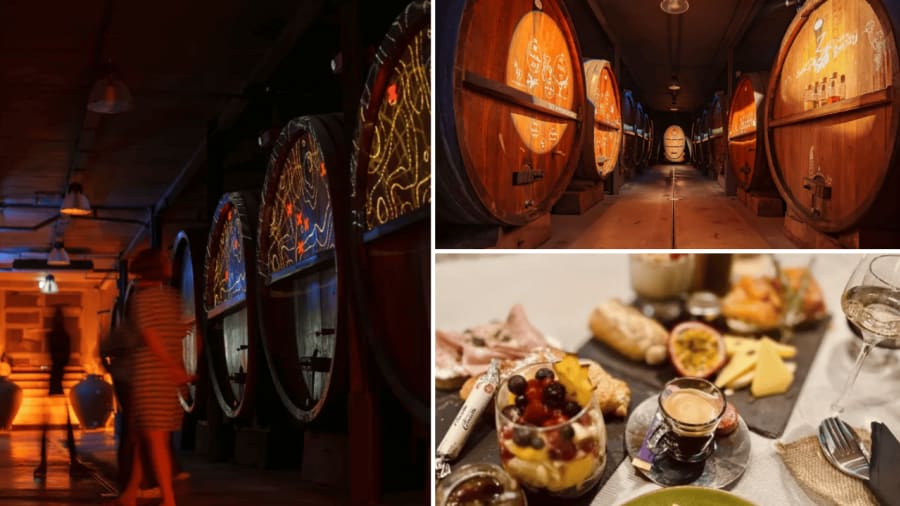visite-degusation-planche