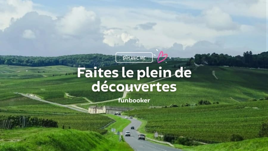 12 activités à faire le dimanche à Reims