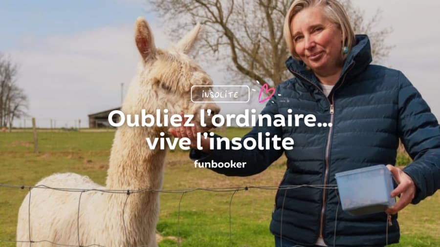 13 expériences incroyables à vivre avec des animaux