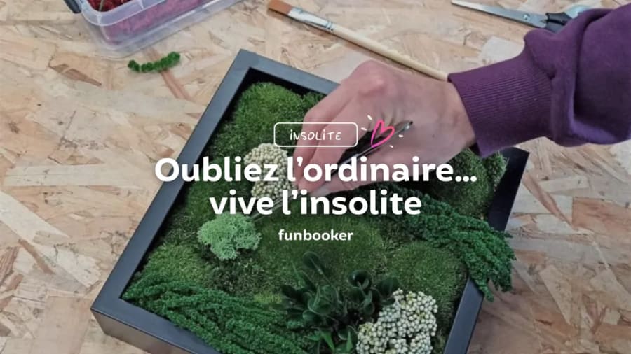 11 activités insolites à faire à Dijon