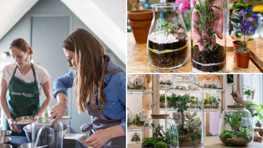 atelier terrarium