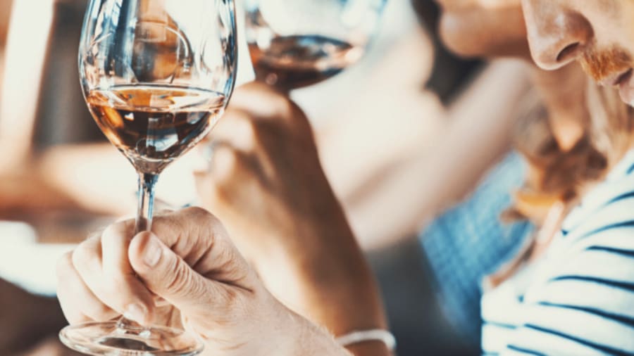 Un cours d'oenologie pour découvrir les secrets des plus grands vins