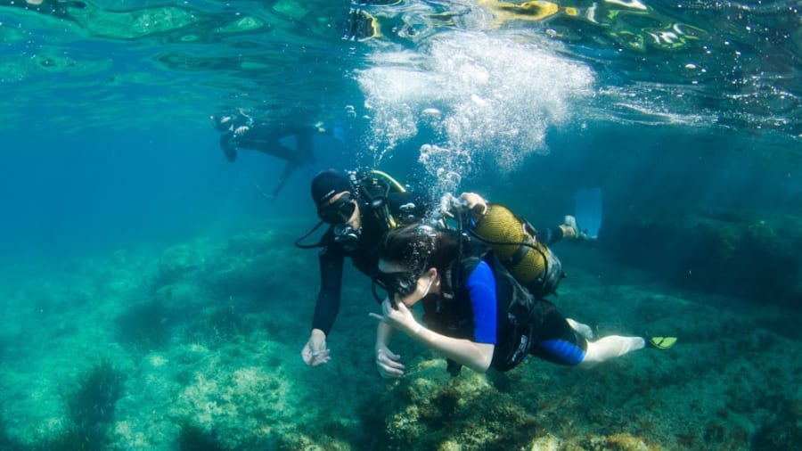 Explorez les fonds marins lors d'un baptême de plongée