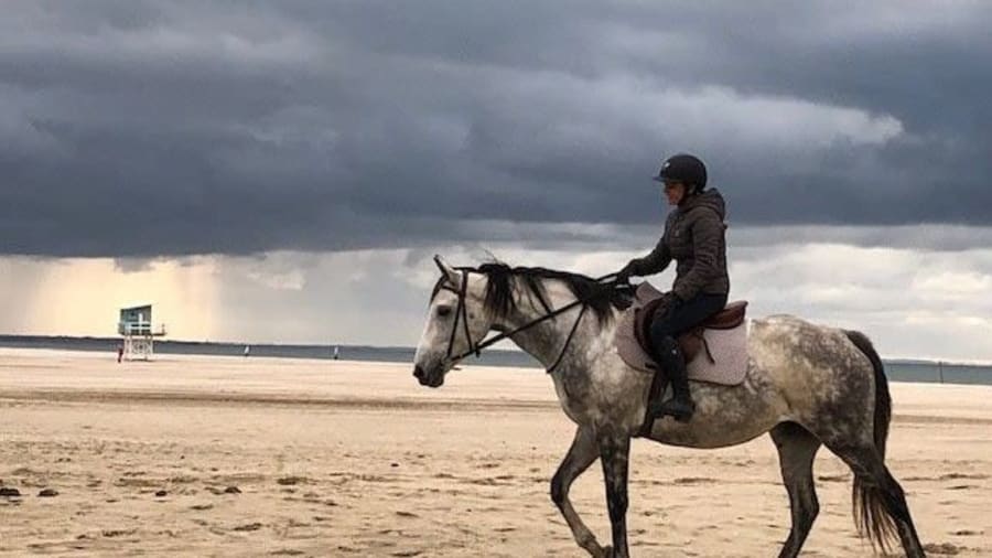 Que faire en Normandie ? 12 idées originales !